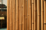 竹之韵：古老的艺术与现代的创新